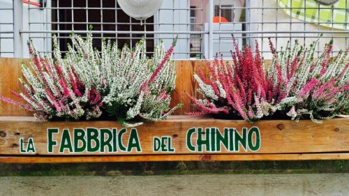 Fabbrica del Chinino - Corona virus